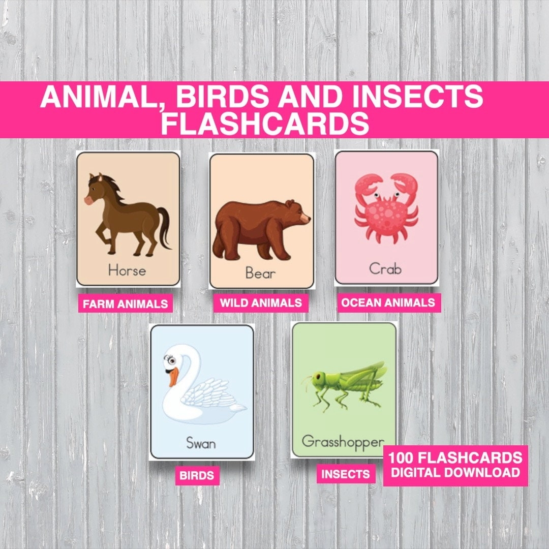 100 Animal Flashcards Montessori Preschool Learning digital Download Etsy