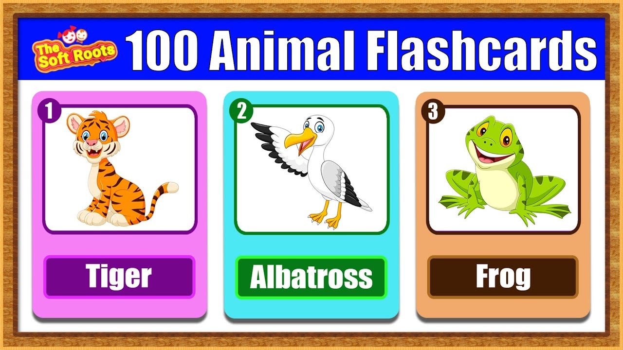 100 Animals Flashcards Animals Names And Sounds Kids Learning Animals YouTube
