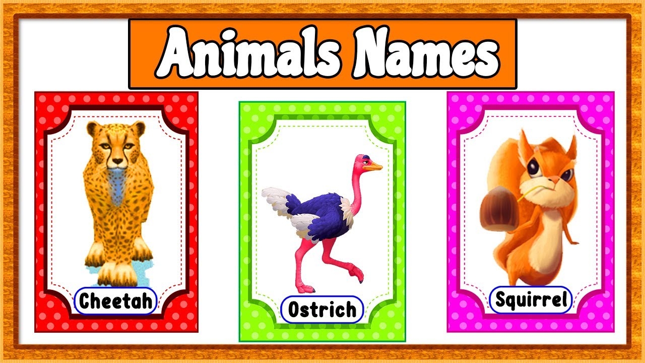 100 Animals Name 100 Animals Flashcards Kids Learning Animals YouTube