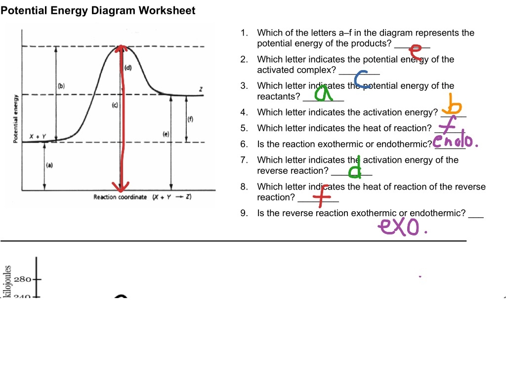 12 1 Reading A Potential Energy Graph Science Chemistry Worksheets Library