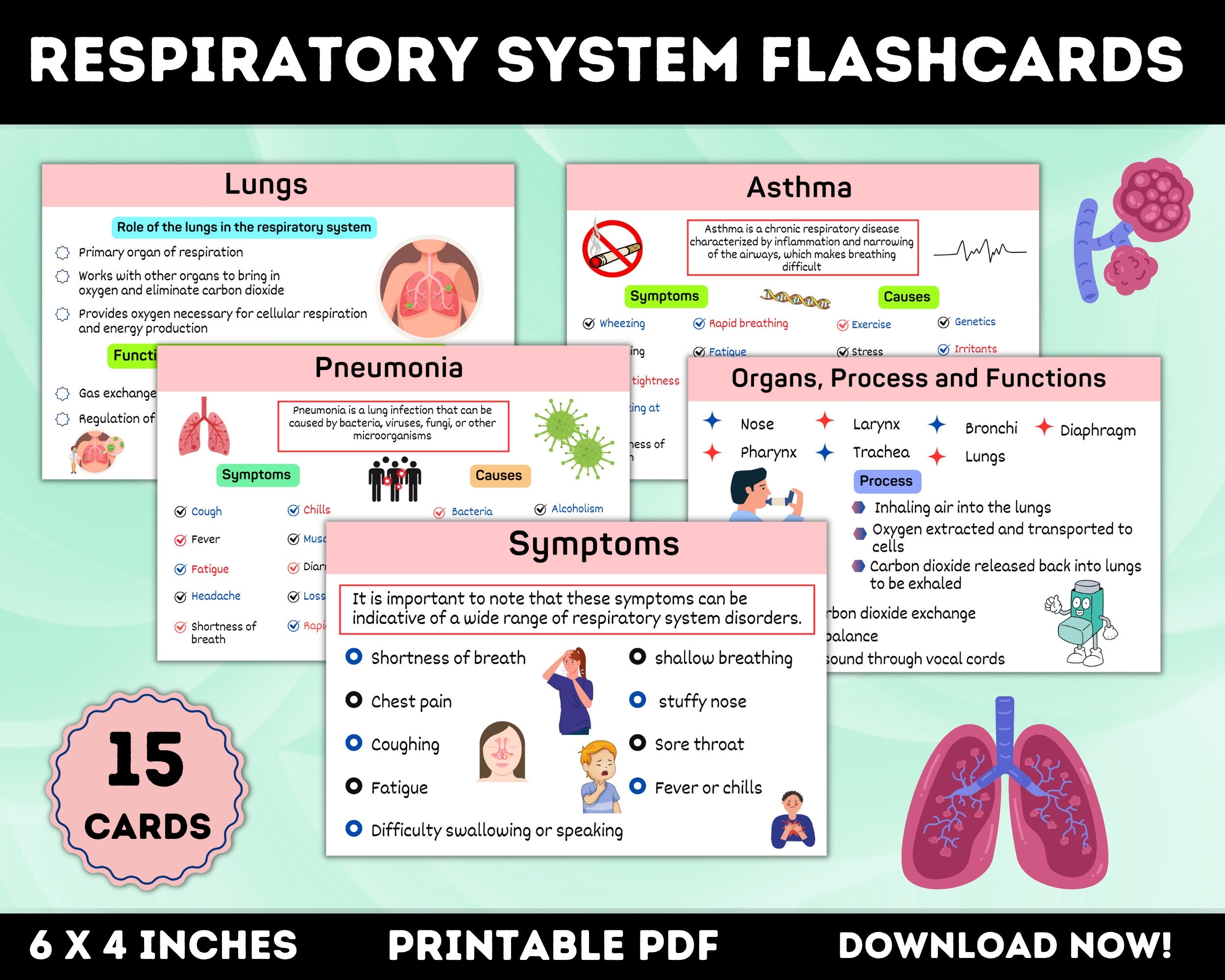 15 Respiratory System Flashcards Printable Respiratory Therapy Respiratory Disorders Respiratory Notes Nursing Notes Etsy Canada