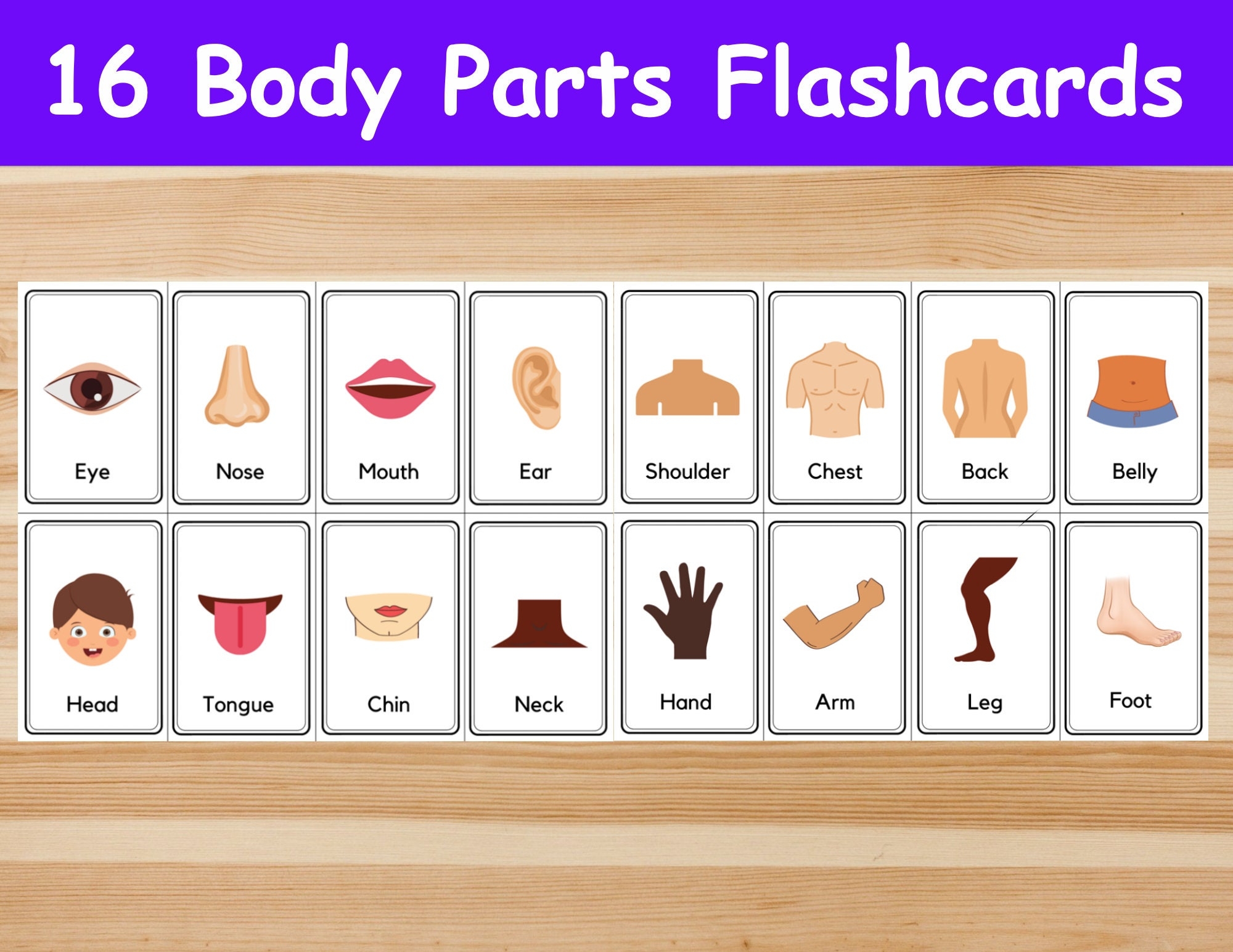 16 Body Parts Flashcards Image Cards For Kids Preschoolers Nomenclature Cards Printable Activity Montessori Etsy New Zealand