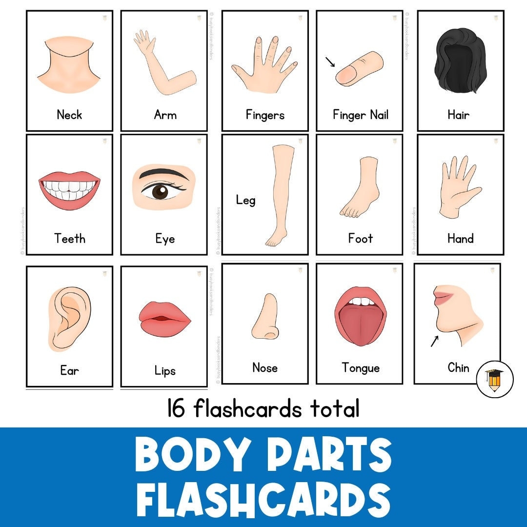 body parts flashcards