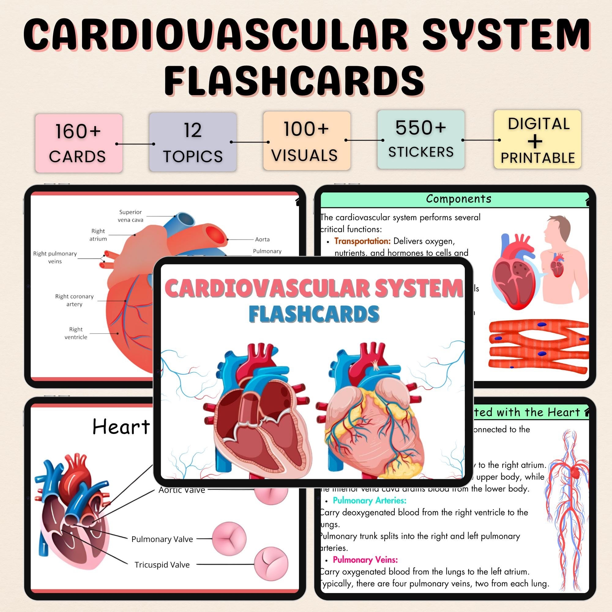 160 Cardiovascular System Flashcards Cardiac Nursing Nursing Notes Cardiovascular Notes Cardiology Nurse Study Guide Etsy