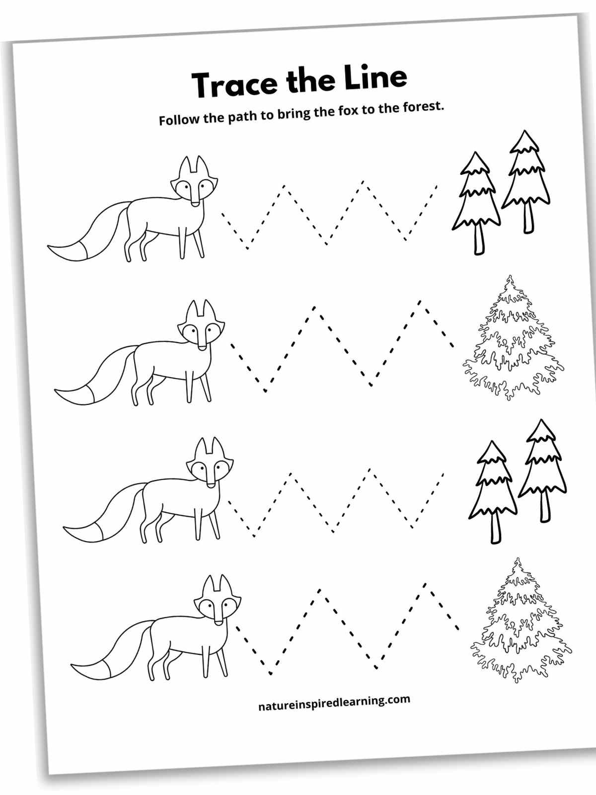 17 Line Tracing Worksheets Free Nature Inspired Learning