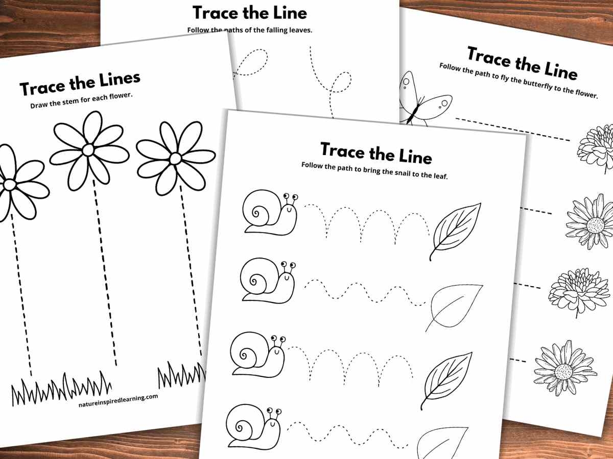 17 Line Tracing Worksheets Free Nature Inspired Learning 17 Line Tracing Worksheets Free Nature Inspired Learning