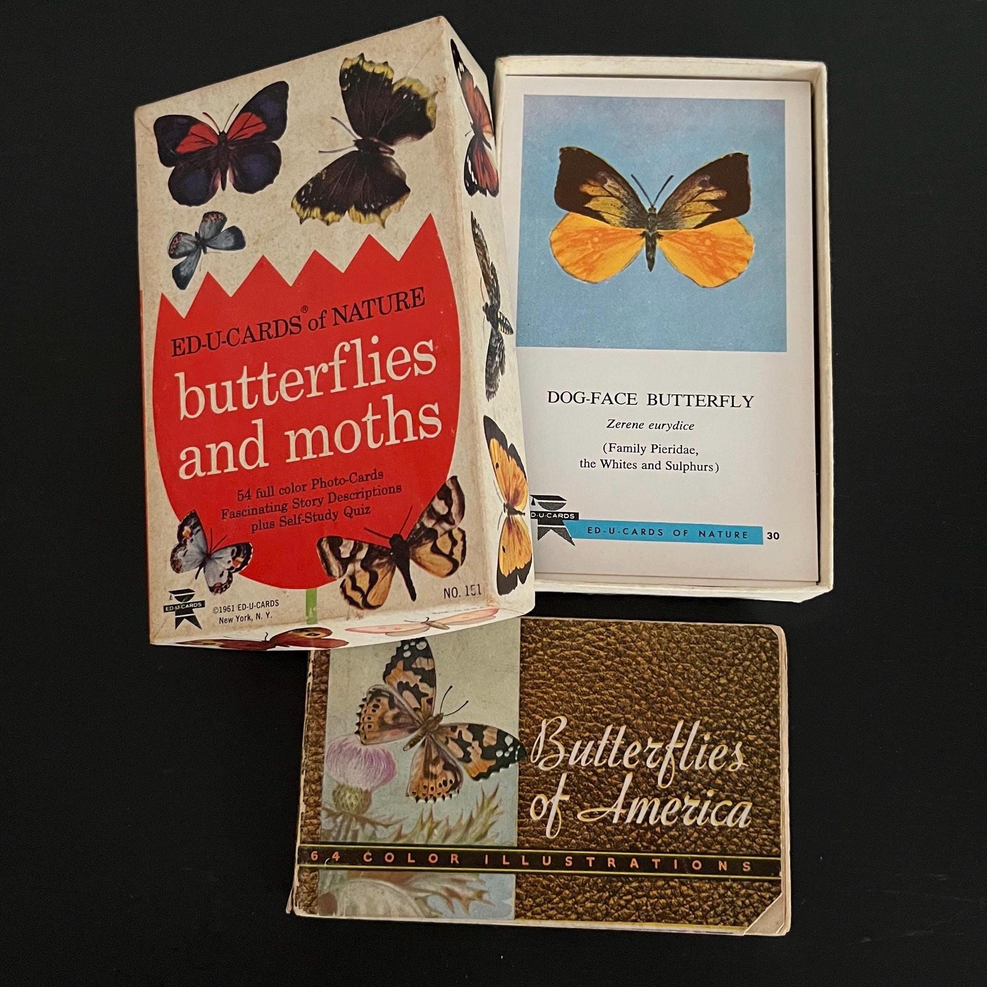 1934 Butterflies Of America 1961 Ed u cards Butterflies And Moths Partial Set Beautiful Lepidoptera Illustrations Etsy