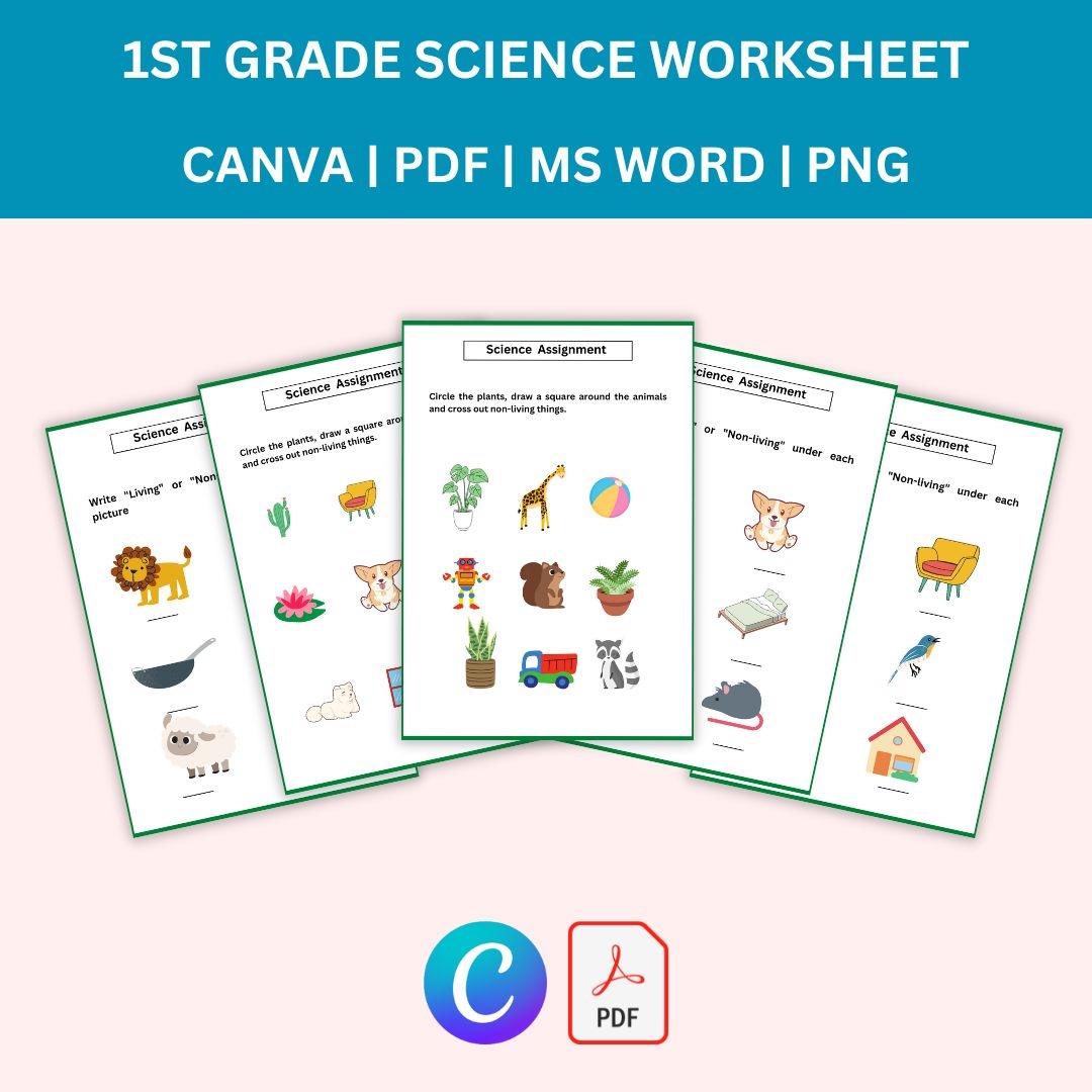 1st grade science worksheets