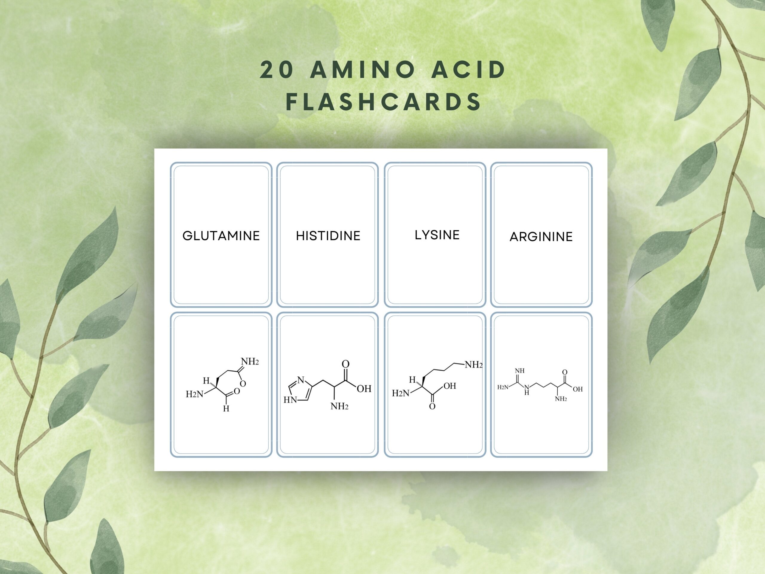 20 Amino Acid Flashcards Etsy