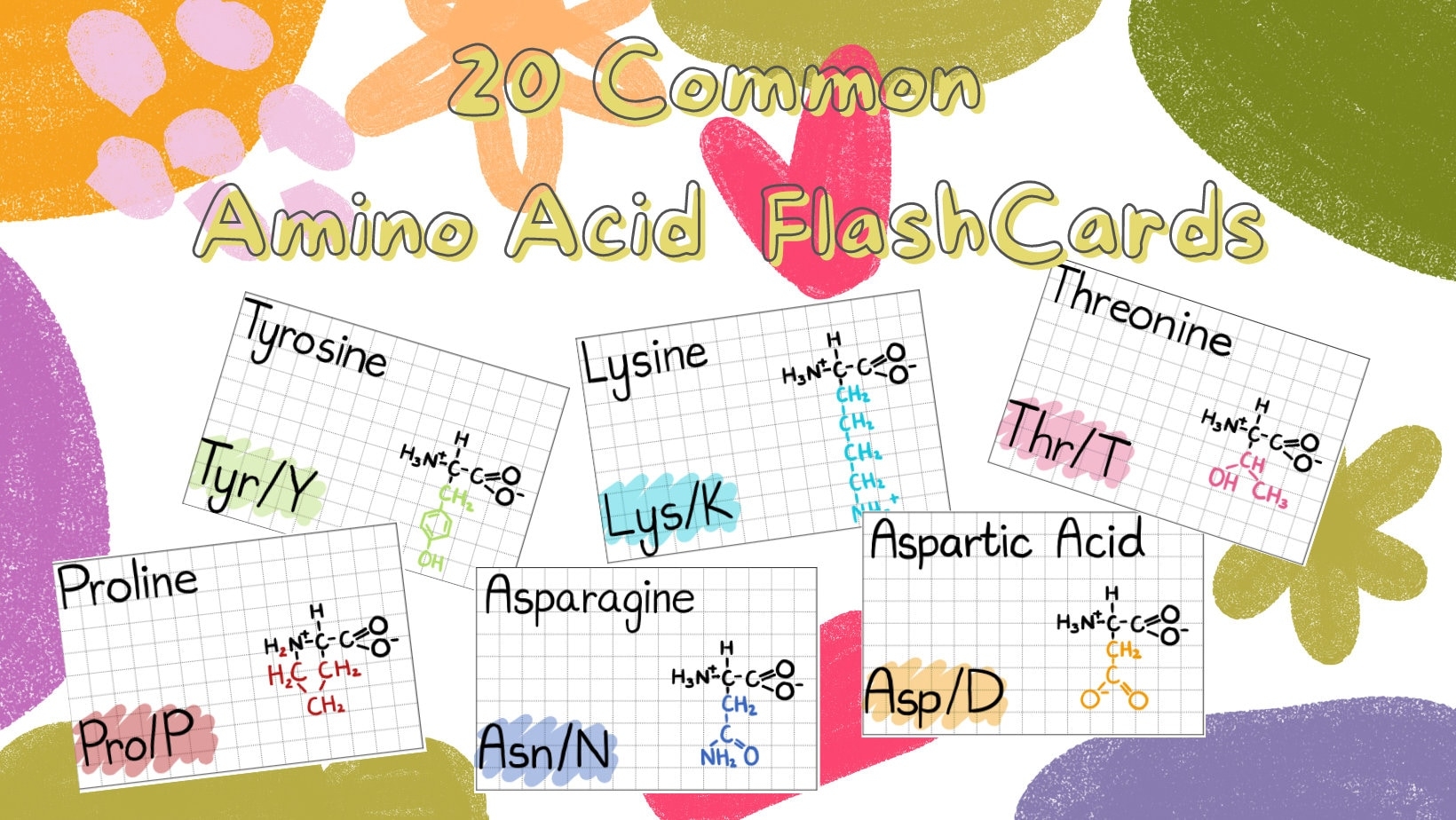 20 Common Amino Acid Biochemistry MCAT Aesthetic Flashcards index Flash Reference Cards Etsy