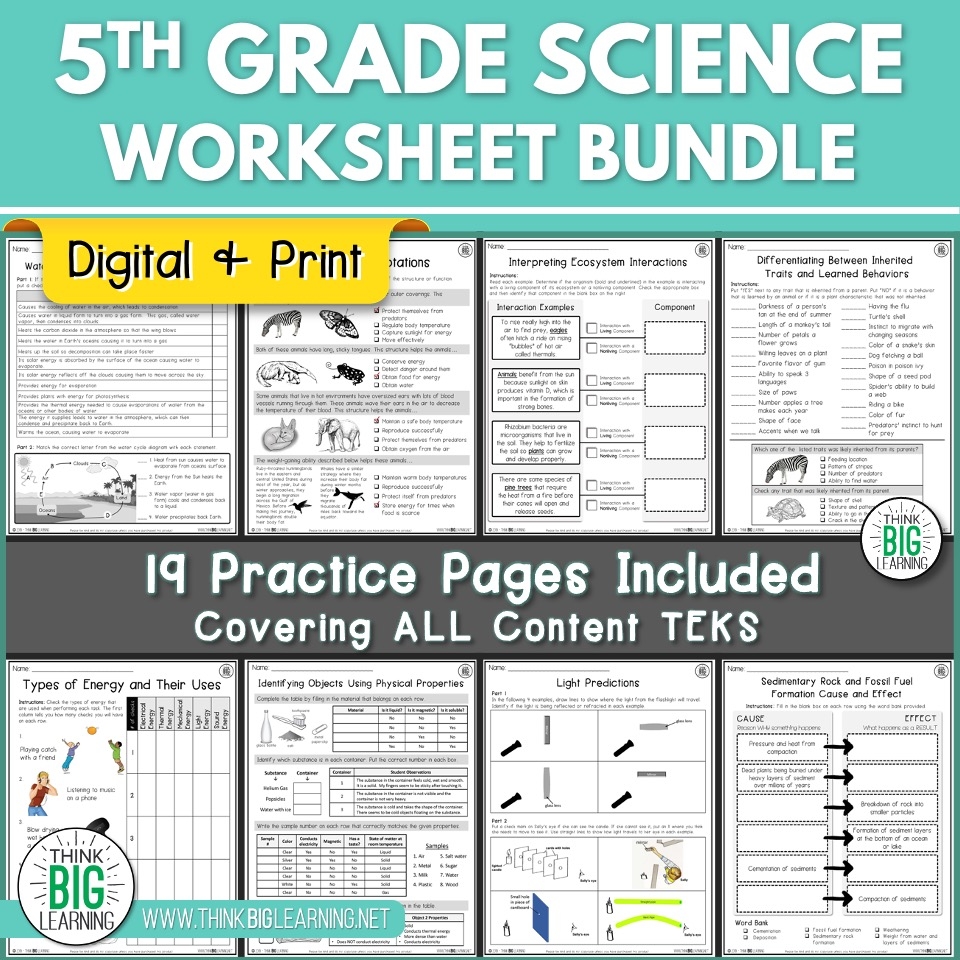 5th Grade Science STAAR Review Worksheets Bundle Digital And Printable Think Big Learning 5th Grade Science STAAR Review Worksheets Bundle Digital And Printable Think Big Learning