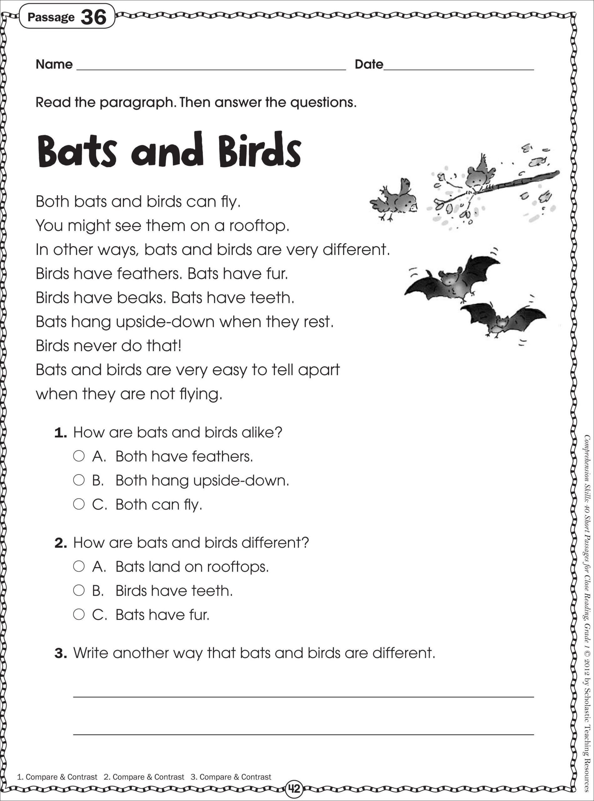 7 Dina Ideas Reading Comprehension Passages Kindergarten Reading Comprehension Passage
