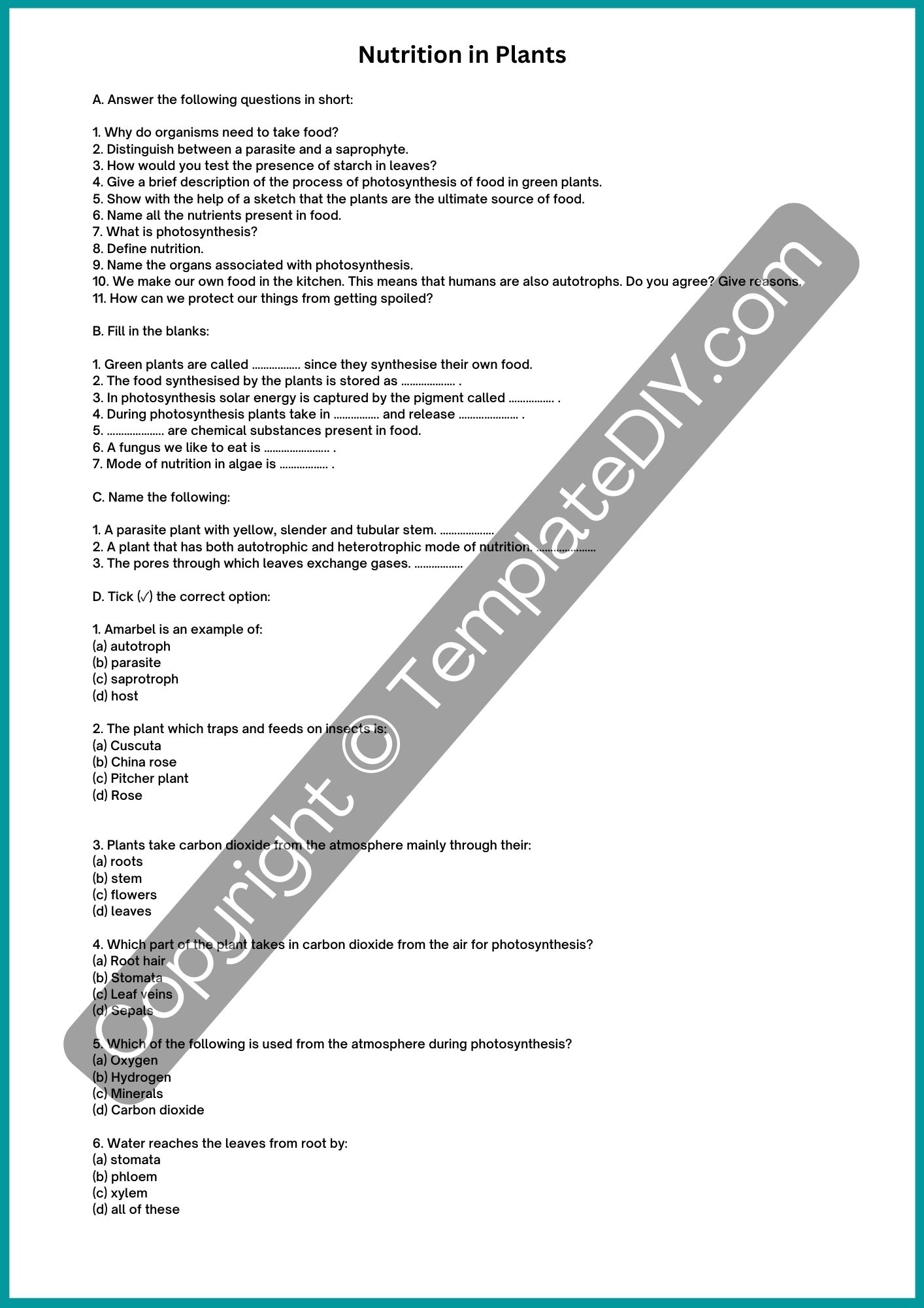 7th Grade Science Worksheets Printable Template PDF Word