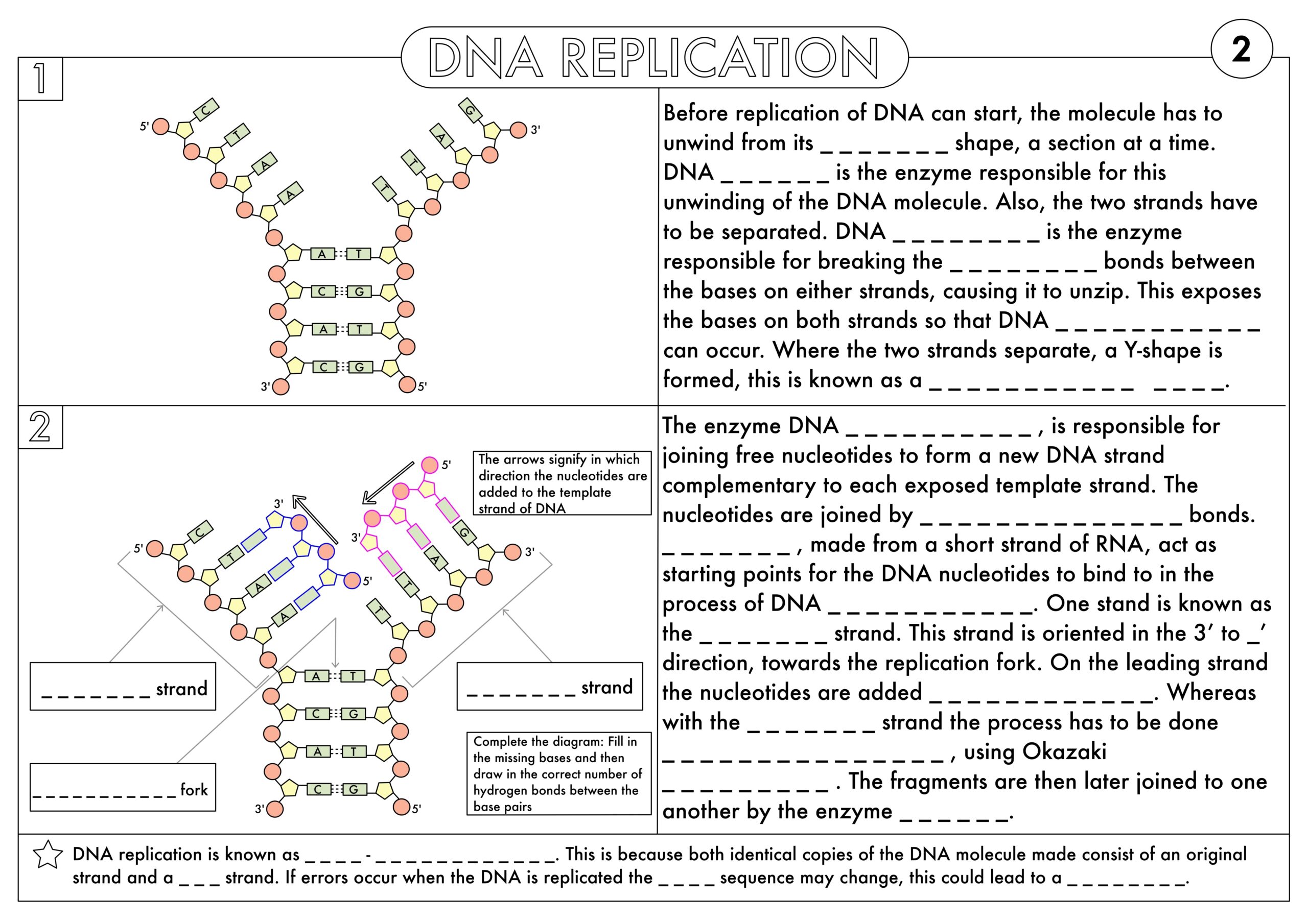A Level Biology Worksheet Pack On DNA And Protein Synthesis Teaching Resources