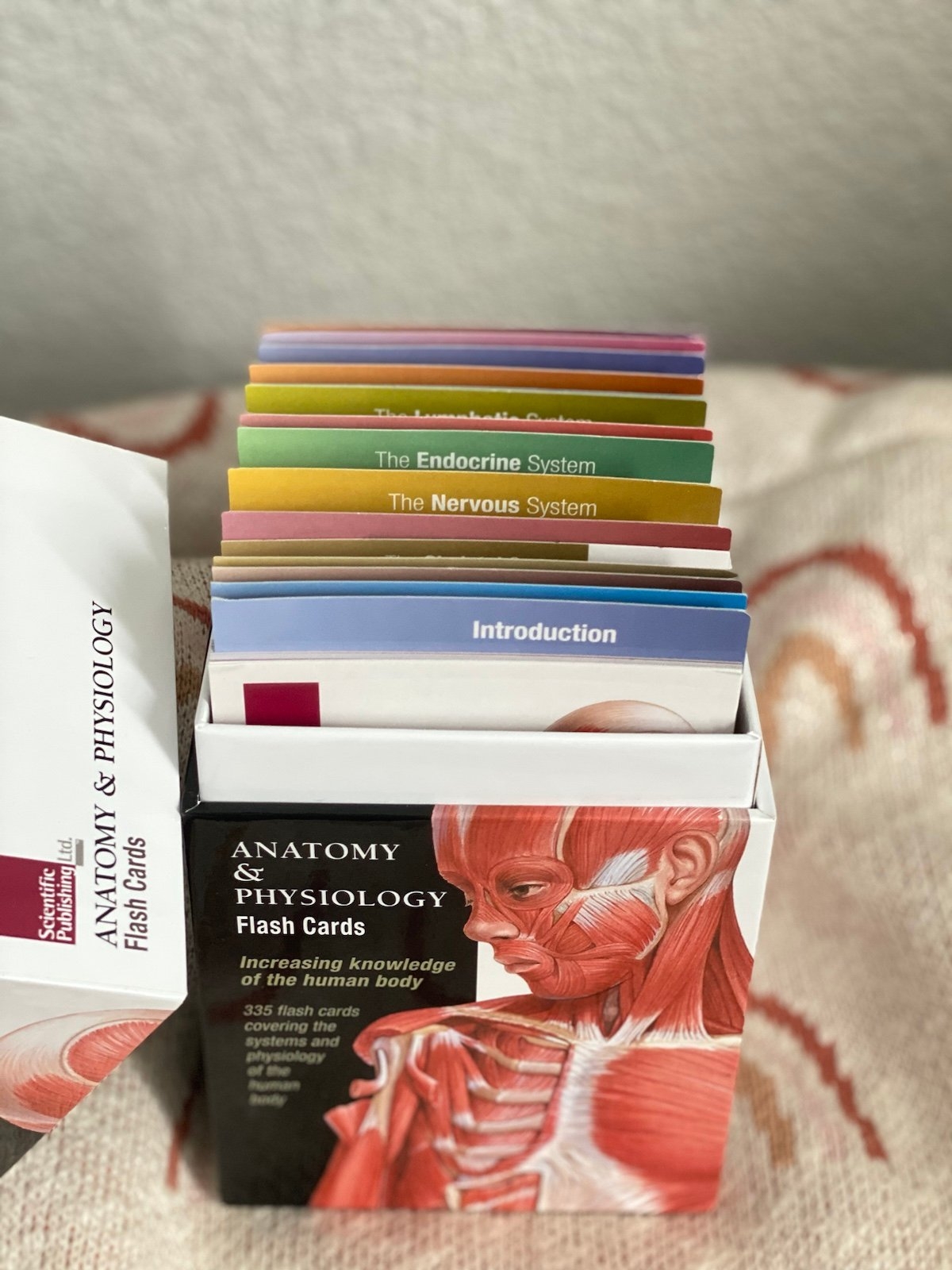 a&p flashcards