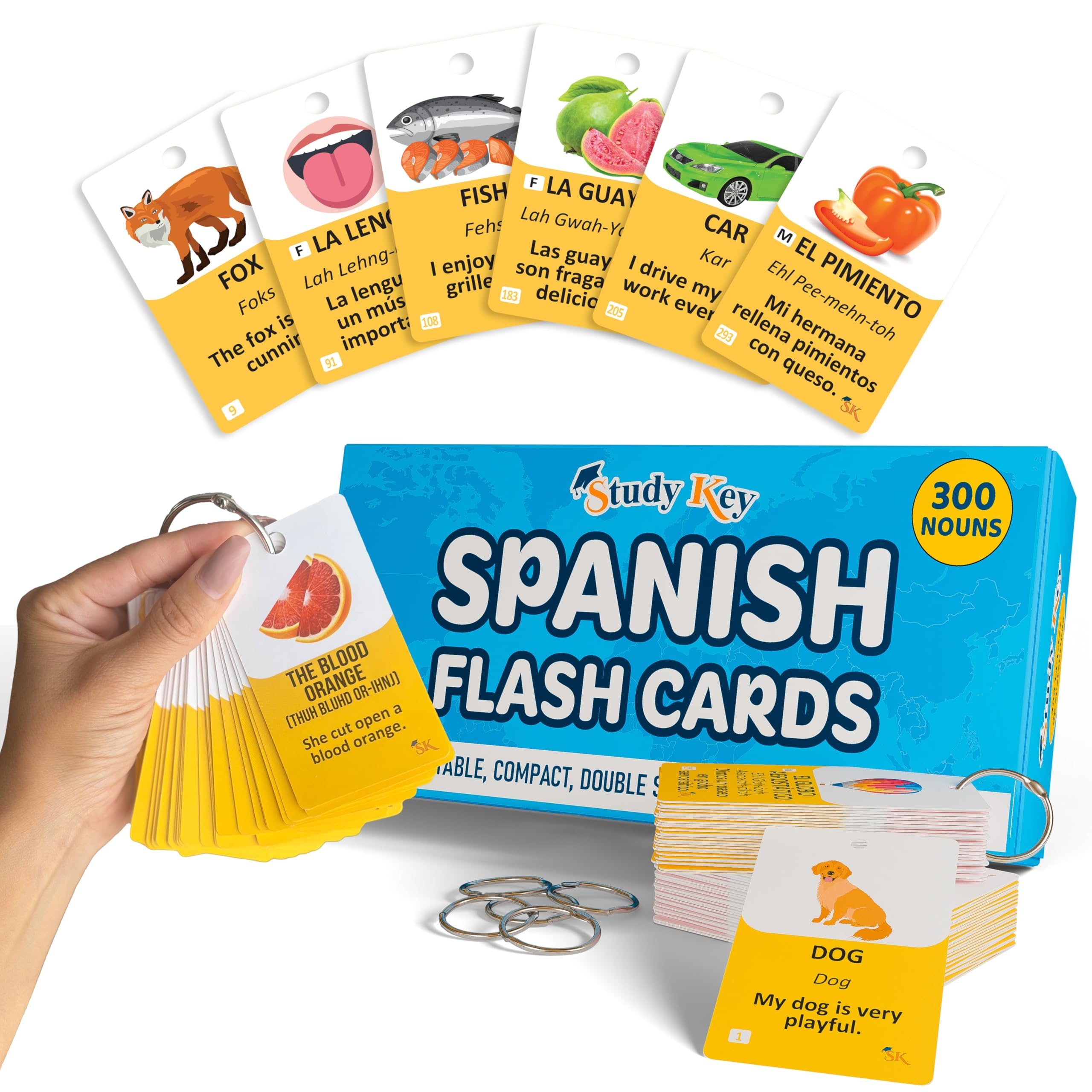 flashcards for adults