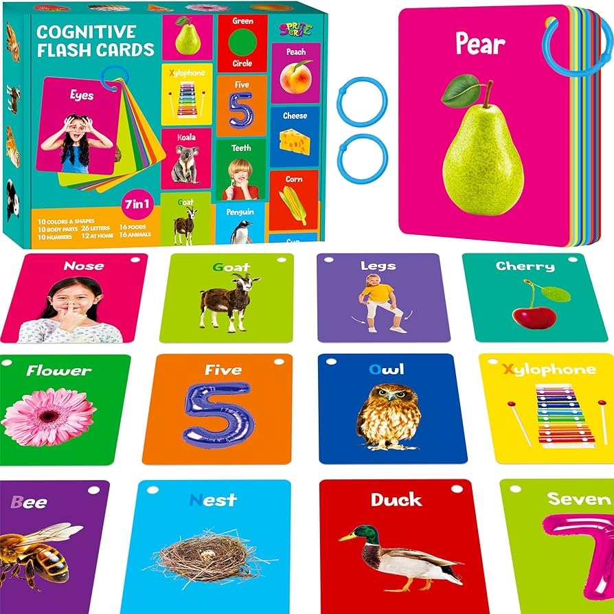 Amazon 50 PCS Early Learning Flashcards 7 In 1 Double Sided Cards Alphabet Numbers Foods Animals Shapes Colors With 2 Reclosable Rings Learning Tool For Pre K Kindergarten Toddlers Toys Games