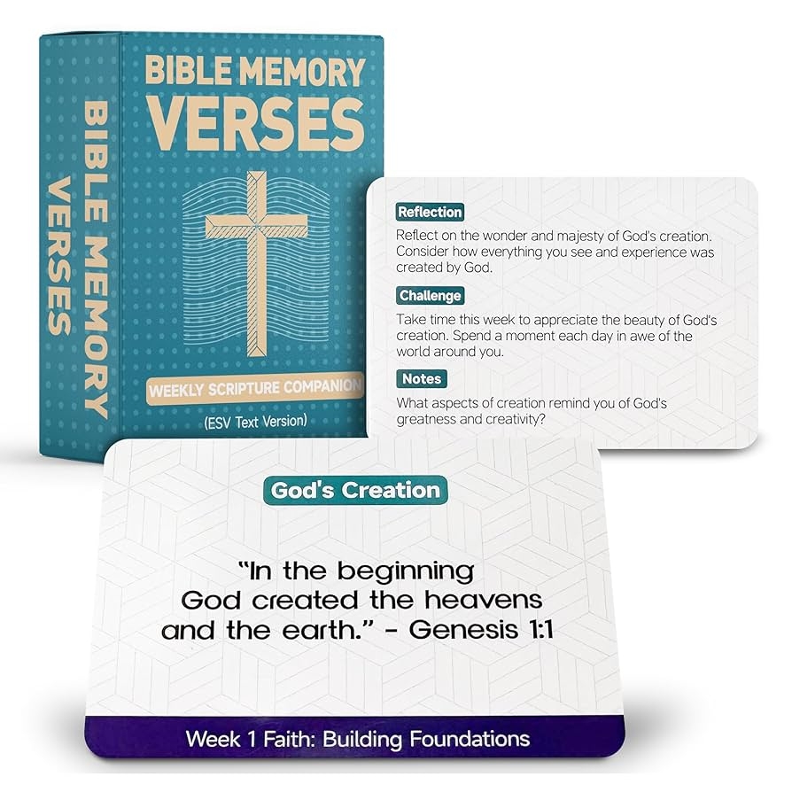 Amazon 52 Week Bible Memory Verse Flash Cards Weekly Scripture Cards ESV Prayer Cards For Individual Or Group Bible Study Contain Engaging Questions Bible References Prayer Prompts Toys Games