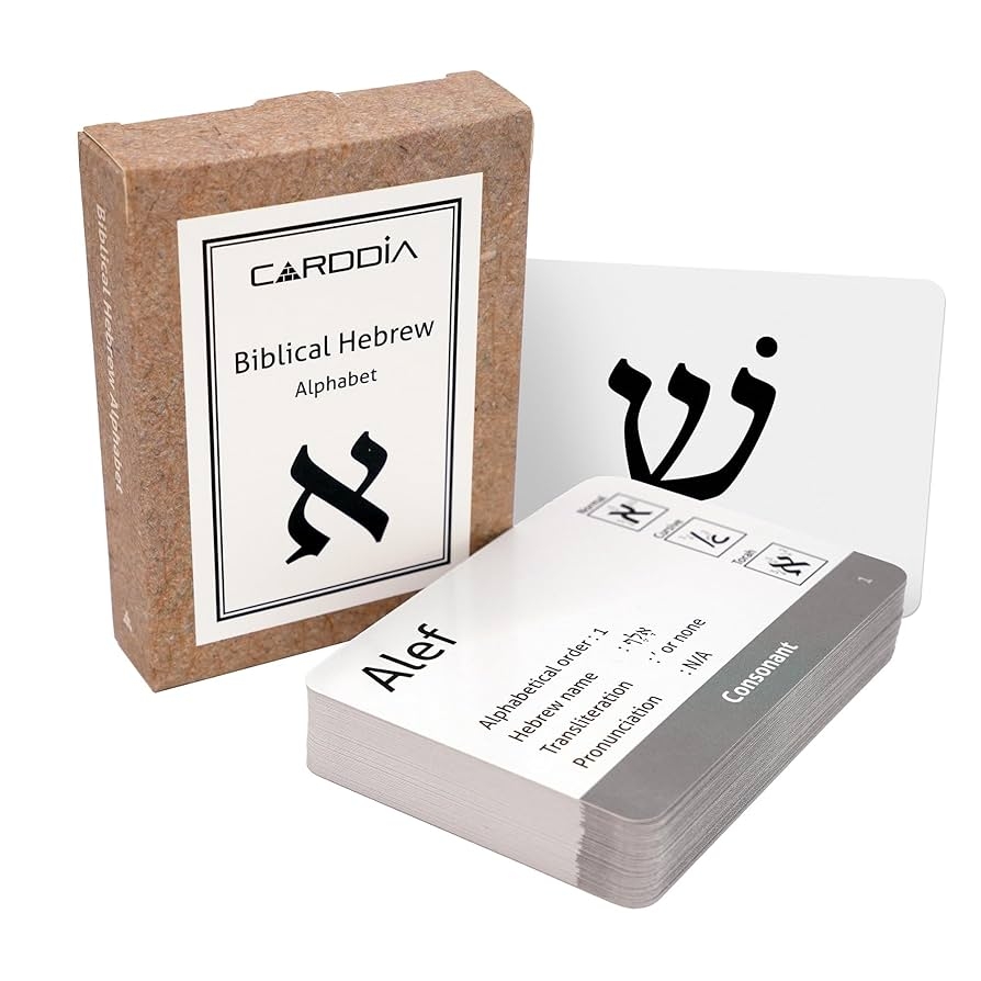 Amazon CARDDIA Biblical Hebrew Alphabet Educational Flashcards Includes Consonants Vowels Dagesh And Final Forms Toys Games