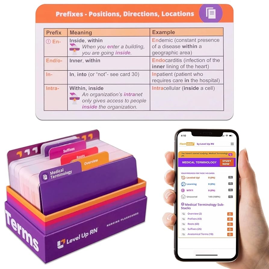 Amazon Medical Terminology Flash Cards 559 Prefixes Roots Suffixes Key Terms Plus 397 Examples And 159 Easy Memorization Tips Illustrations Related Terms Grouped Intuitively On 159 Cards Toys Games