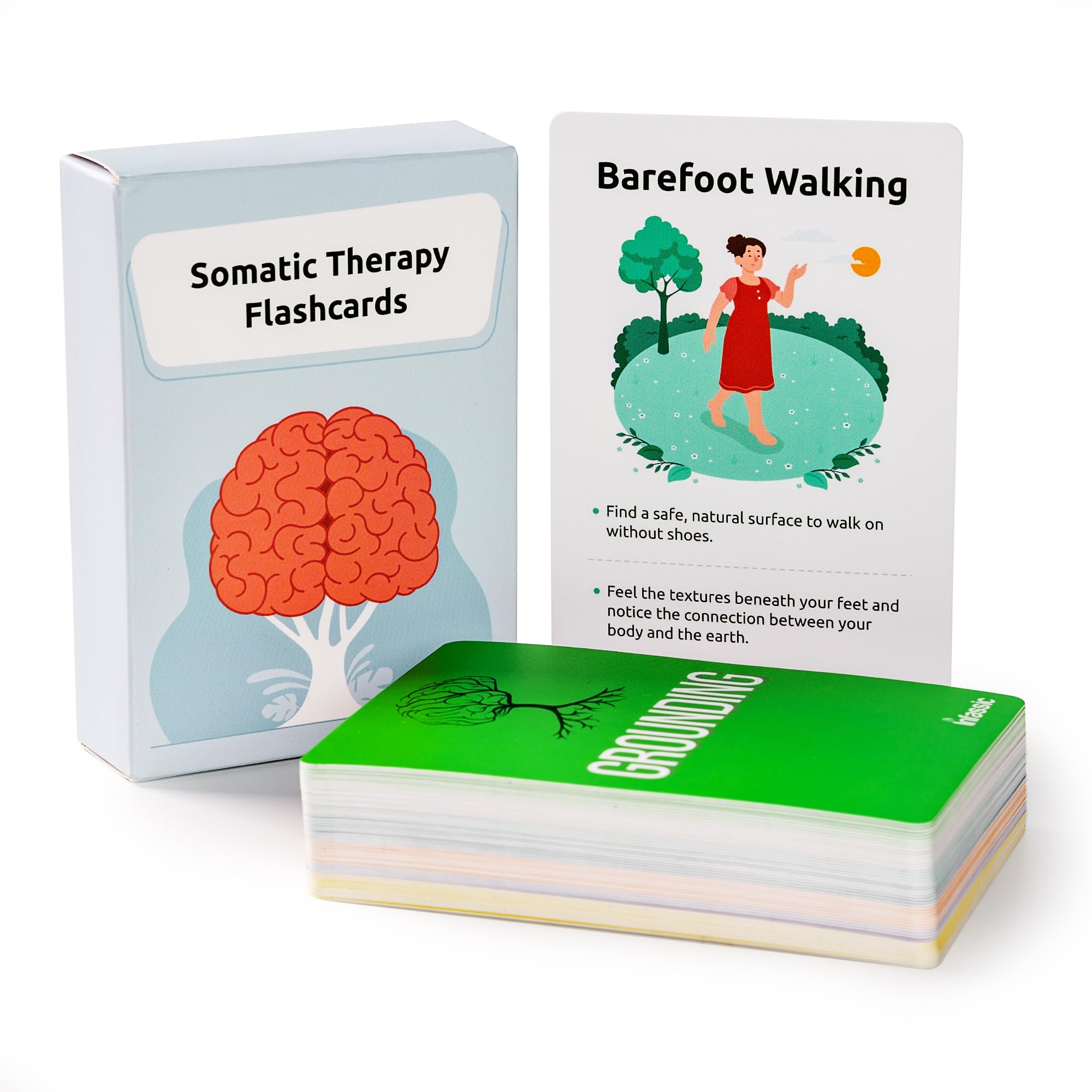 nervous system flashcards