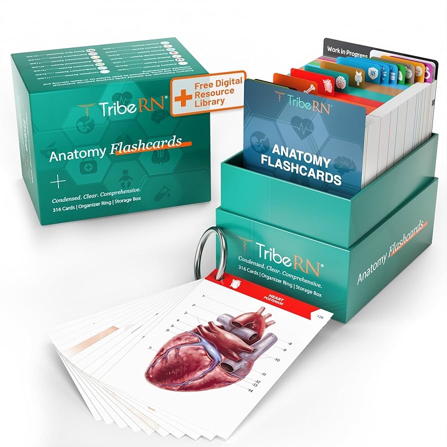 Amazon TribeRN Anatomy And Physiology Flash Cards 320 Study Resources For Students Human Anatomy Physiology Study Tools Medical Nursing School Essentials Durable Easy To Use Flashcards Toys Games