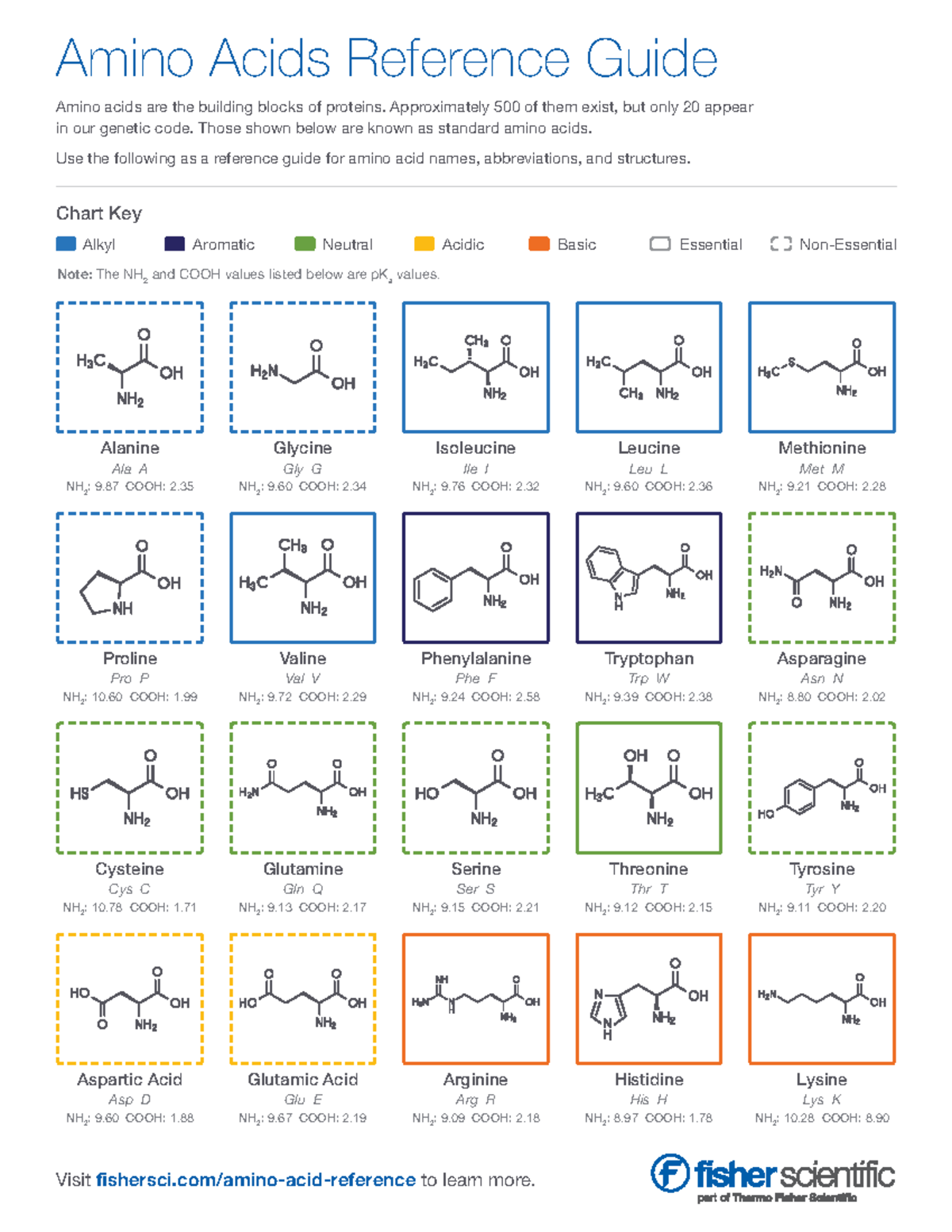 20 amino acids flashcards