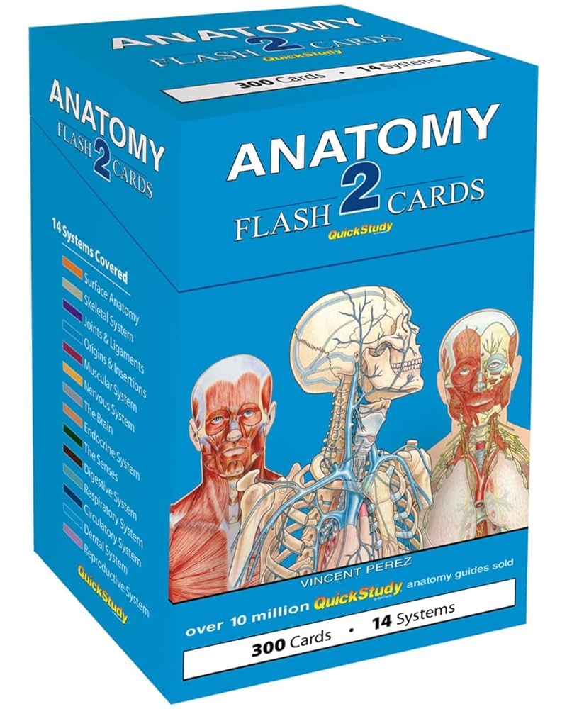 Anatomy 2 Flash Cards QuickStudy Reference Tool Vincent Perez 9781423232469 Amazon Books