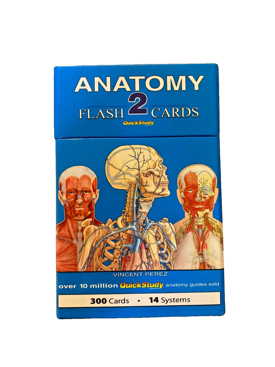 Anatomy 2 Quick Study Flashcards 300 Cards 14 Systems Color Coded 9781423232469 EBay
