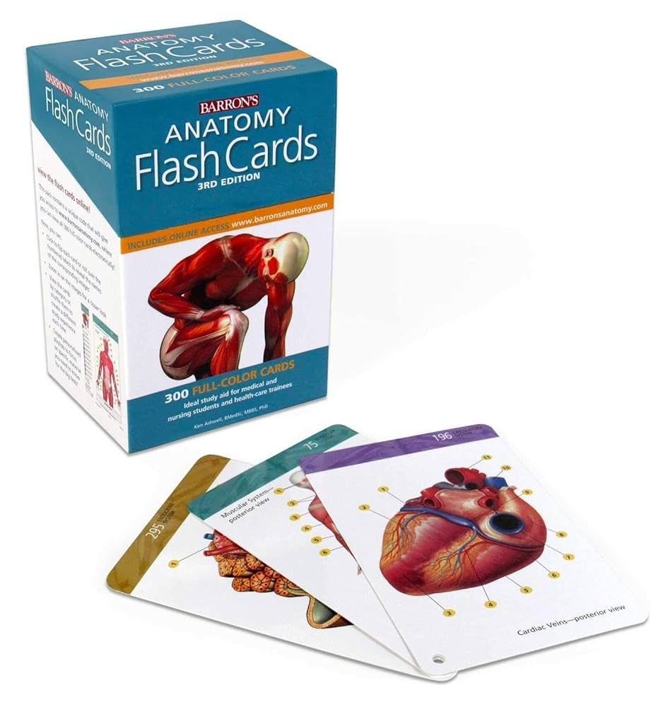 Anatomy Flash Cards Ashwell Ph D Ken 9781438077178 Anatomy Amazon Canada