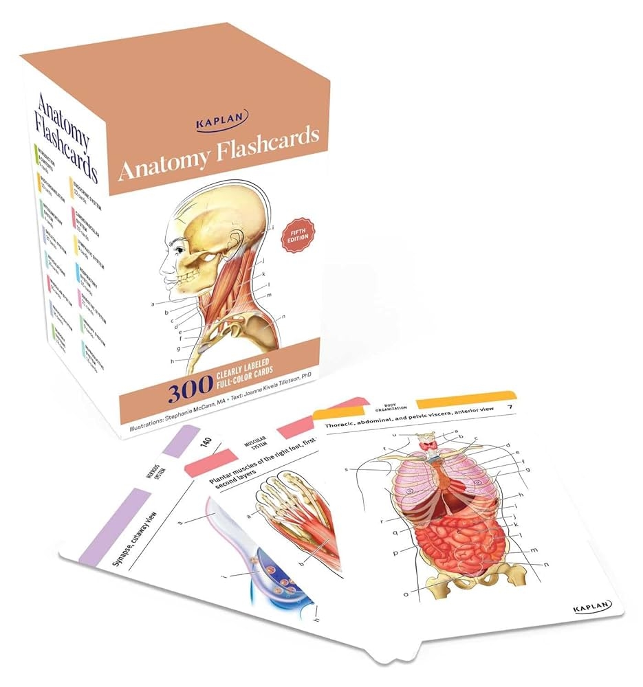 Anatomy Flashcards 300 Flashcards With Anatomically Precise Drawings And Exhaustive Descriptions 9781506289717 Medicine Health Science Books Amazon