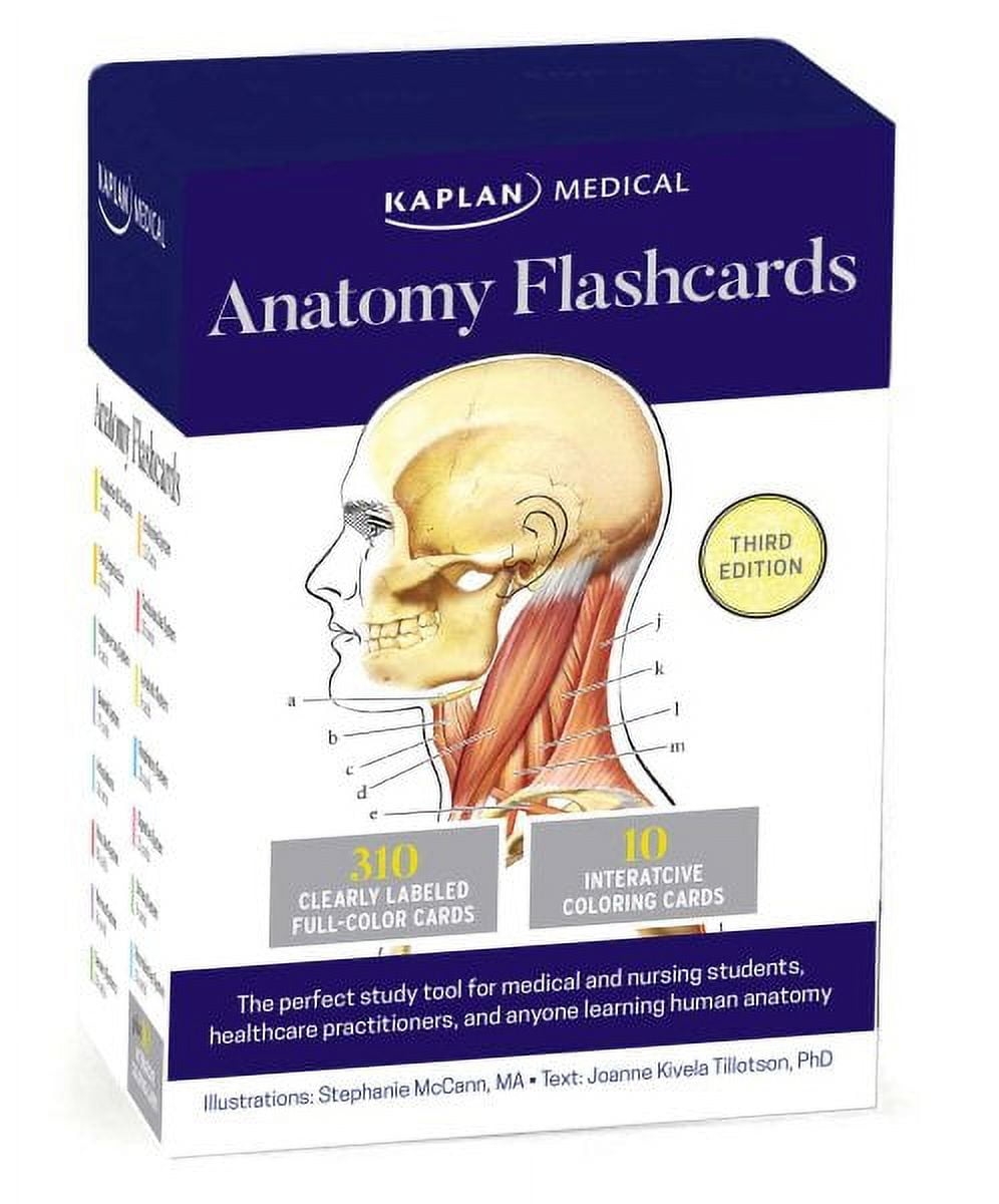 Anatomy Flashcards Cards Walmart