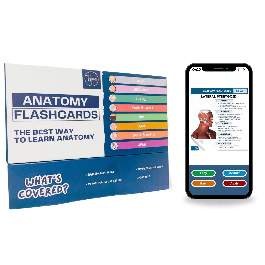 Anatomy Flashcards Physical Digital Includes OINA Typical PT
