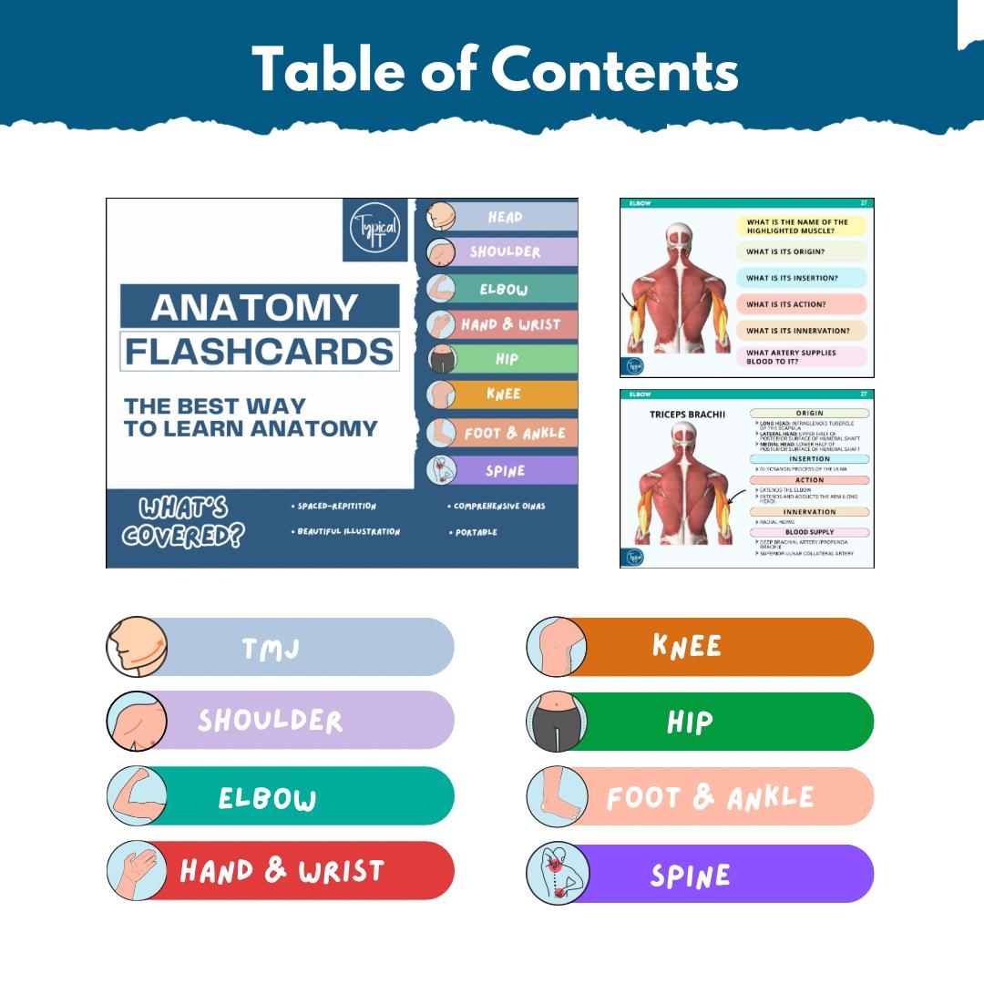 Anatomy Flashcards Physical Digital Includes OINA Typical PT