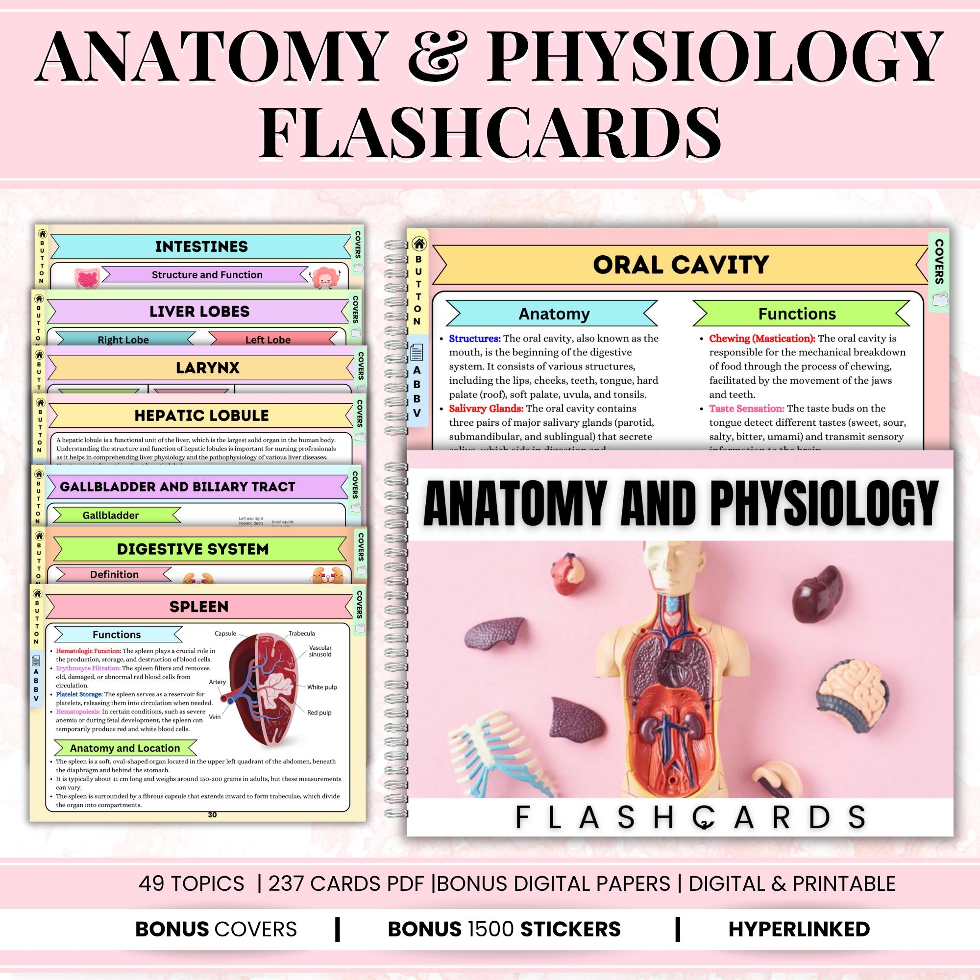 Anatomy Physiology Flashcards 49 Topics Nursing Flashcards Bonus Stickers And Covers Anatomy And Physiology Learning Tools Etsy