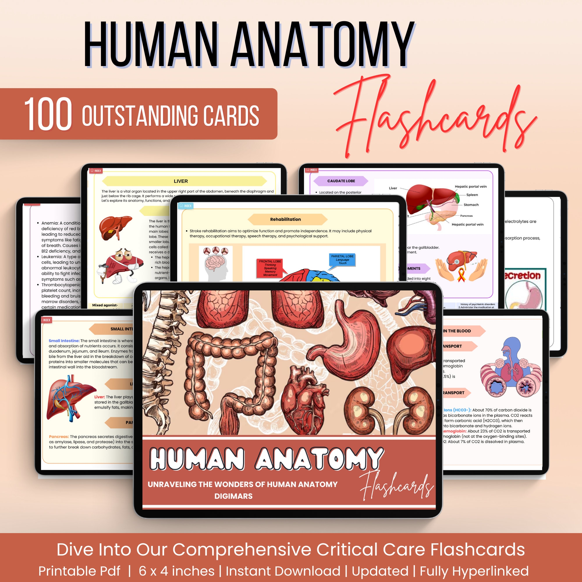 anatomy flashcards pdf