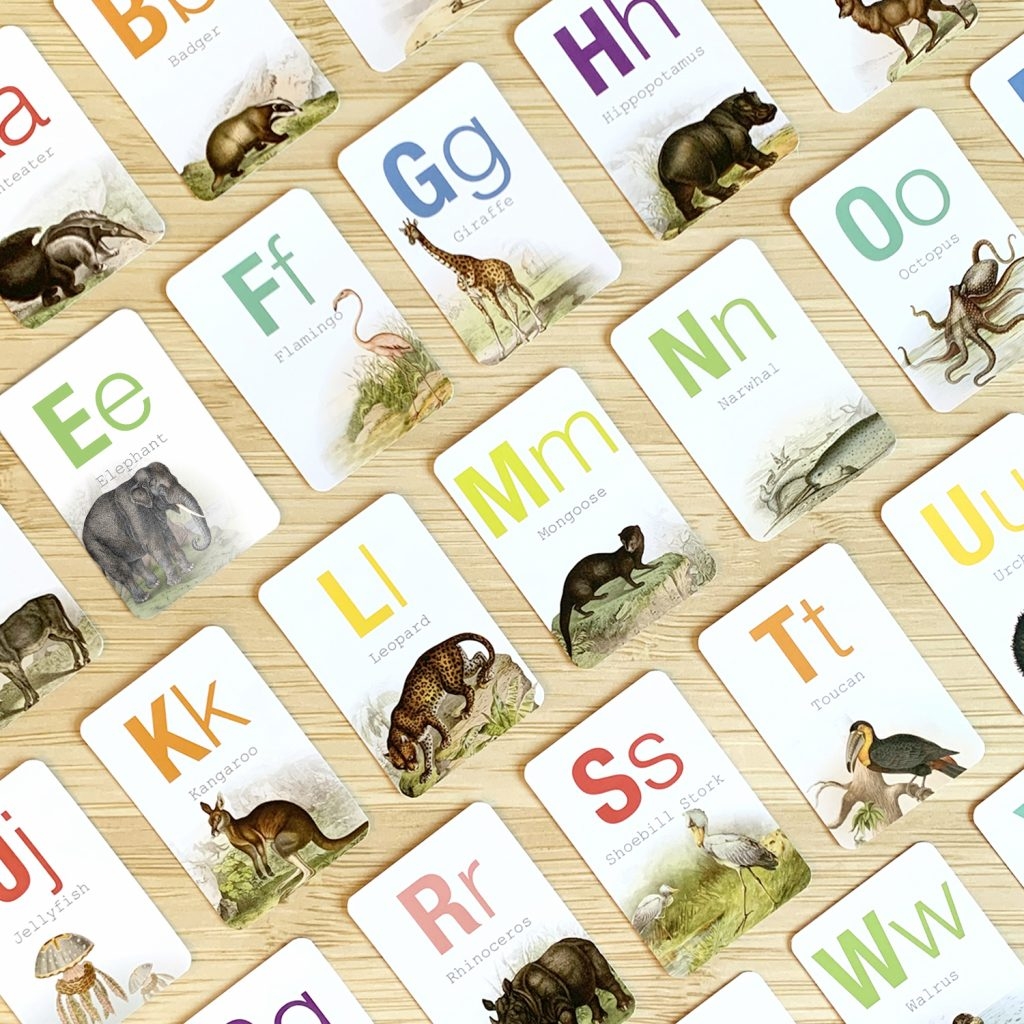 Animal Alphabet Flashcards Wonderful Whirl