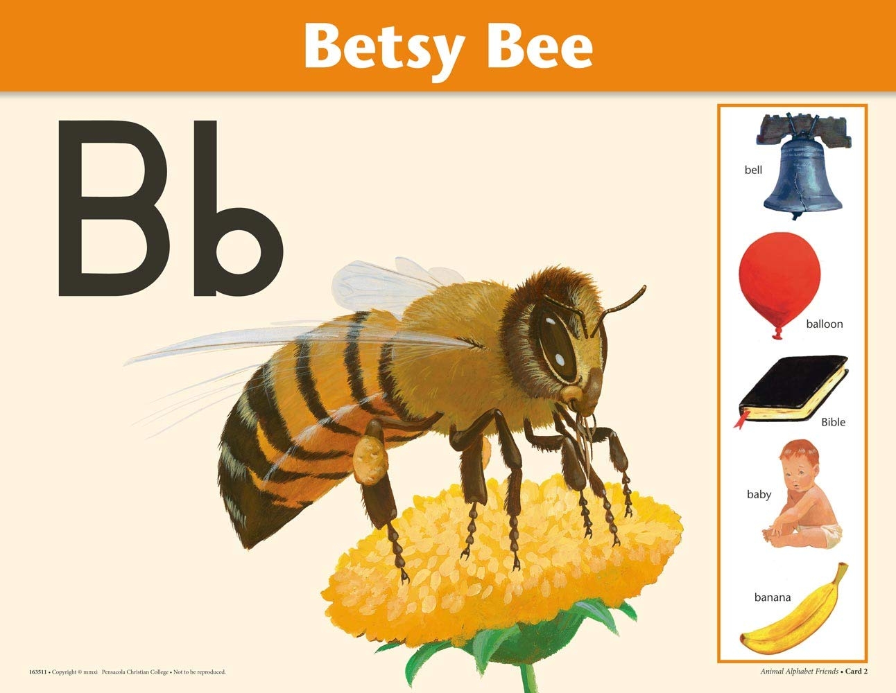 Animal Alphabet Friends Flashcards Abeka Kindergarten 2 3 4 Year Old K4 Nursery Letter Recognition Sounds And Formation Reading Program Large Letter Cards Amazon de Toys