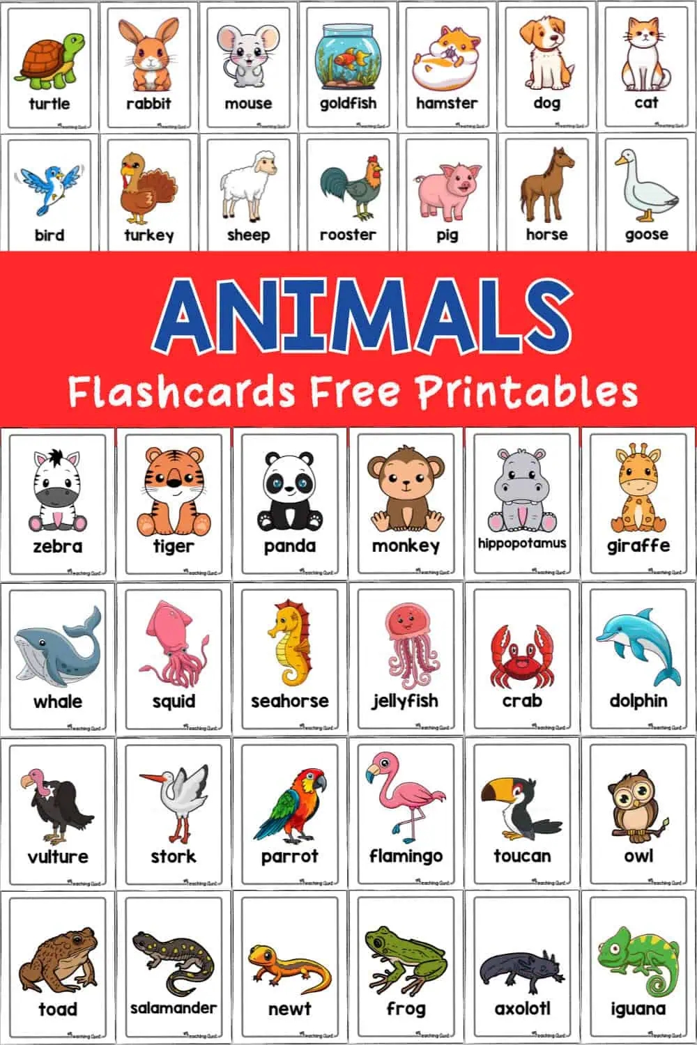 flashcards of animals