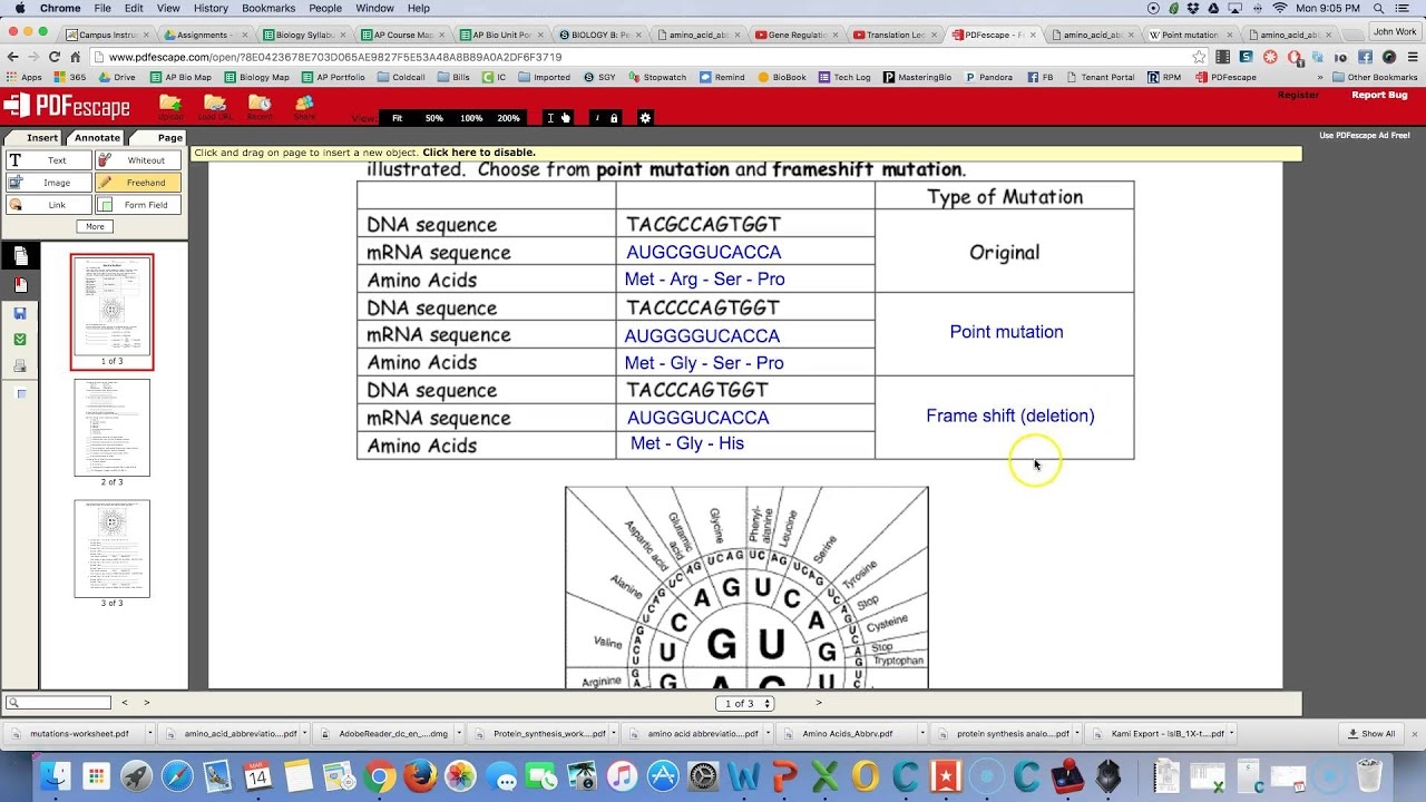 Answers Mutations Worksheet YouTube