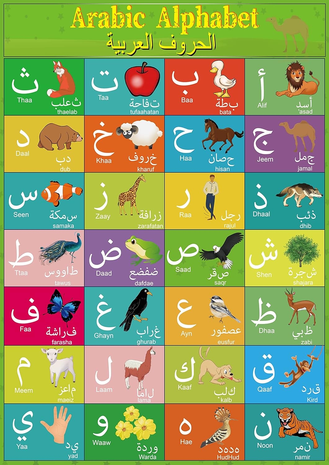 Arabic Alphabet Poster With Flashcards For Kids Italy Ubuy Arabic Alphabet Poster With Flashcards For Kids Italy Ubuy