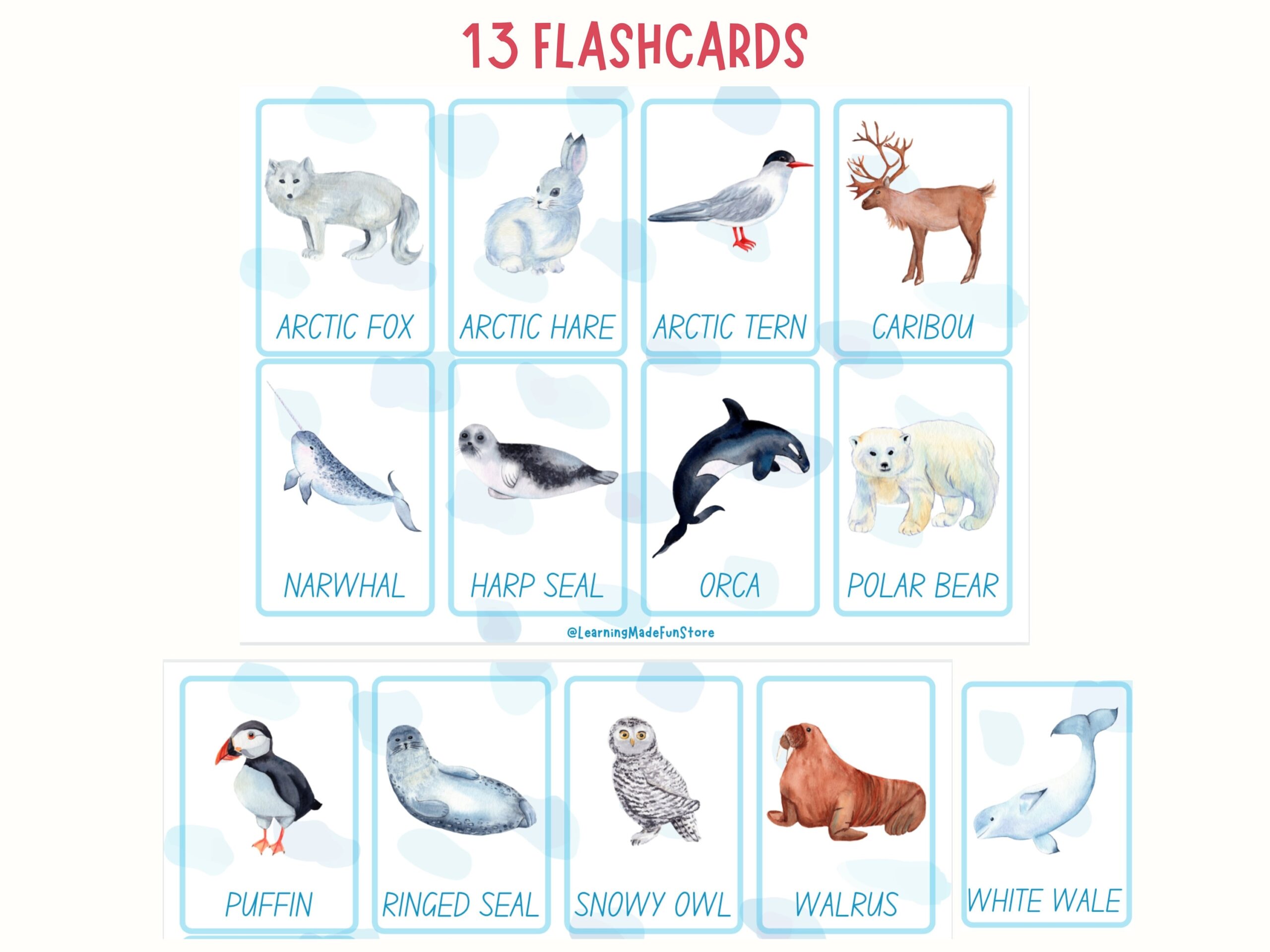 Arctic Animals Flashcards Montessori Learning Cards digital Download Etsy Finland