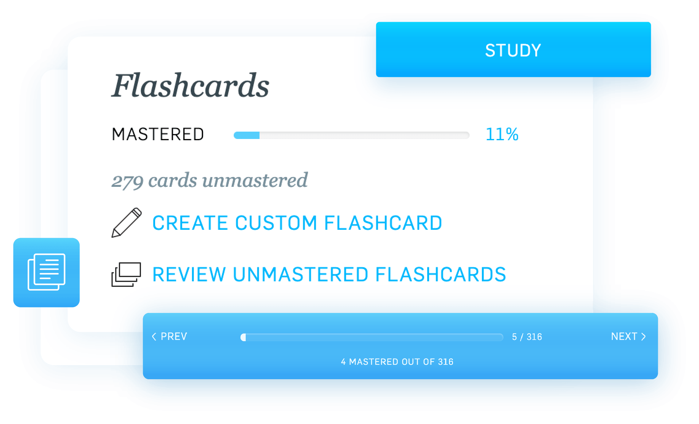 ARE 5 0 Digital Flashcards Black Spectacles