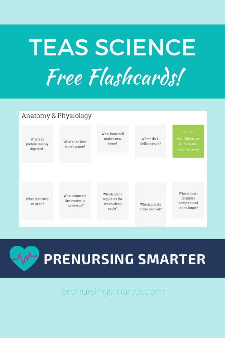 ATI TEAS Flashcards Prenursing Smarter 2024 Update 