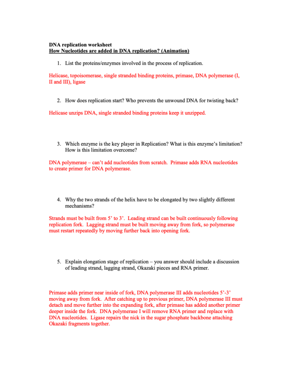 B DNA Replication Worksheet Answers DNA Replication Worksheet How Nucleotides Are Added In DNA Studocu