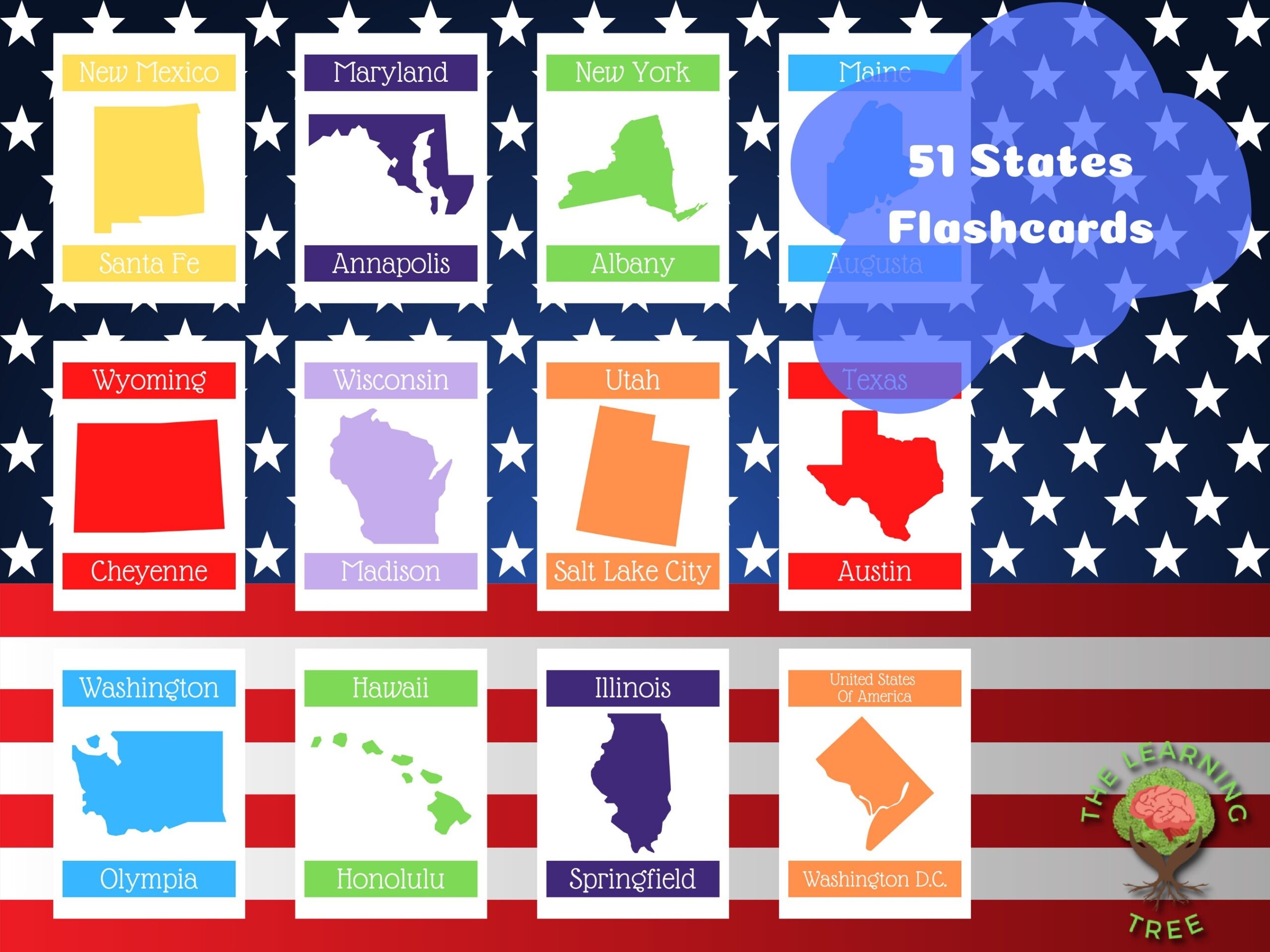 Basic 50 States Washington D C Flashcards Digital Download Educational Flashcards Etsy Canada
