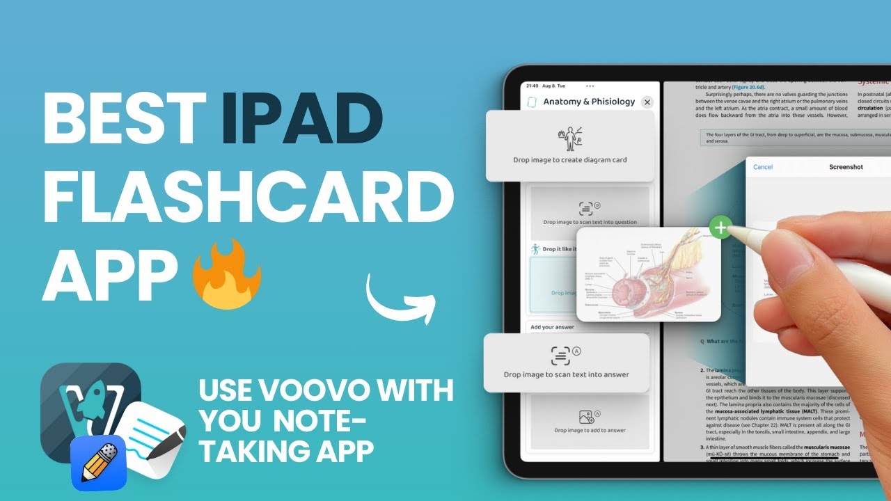 best free flashcard app