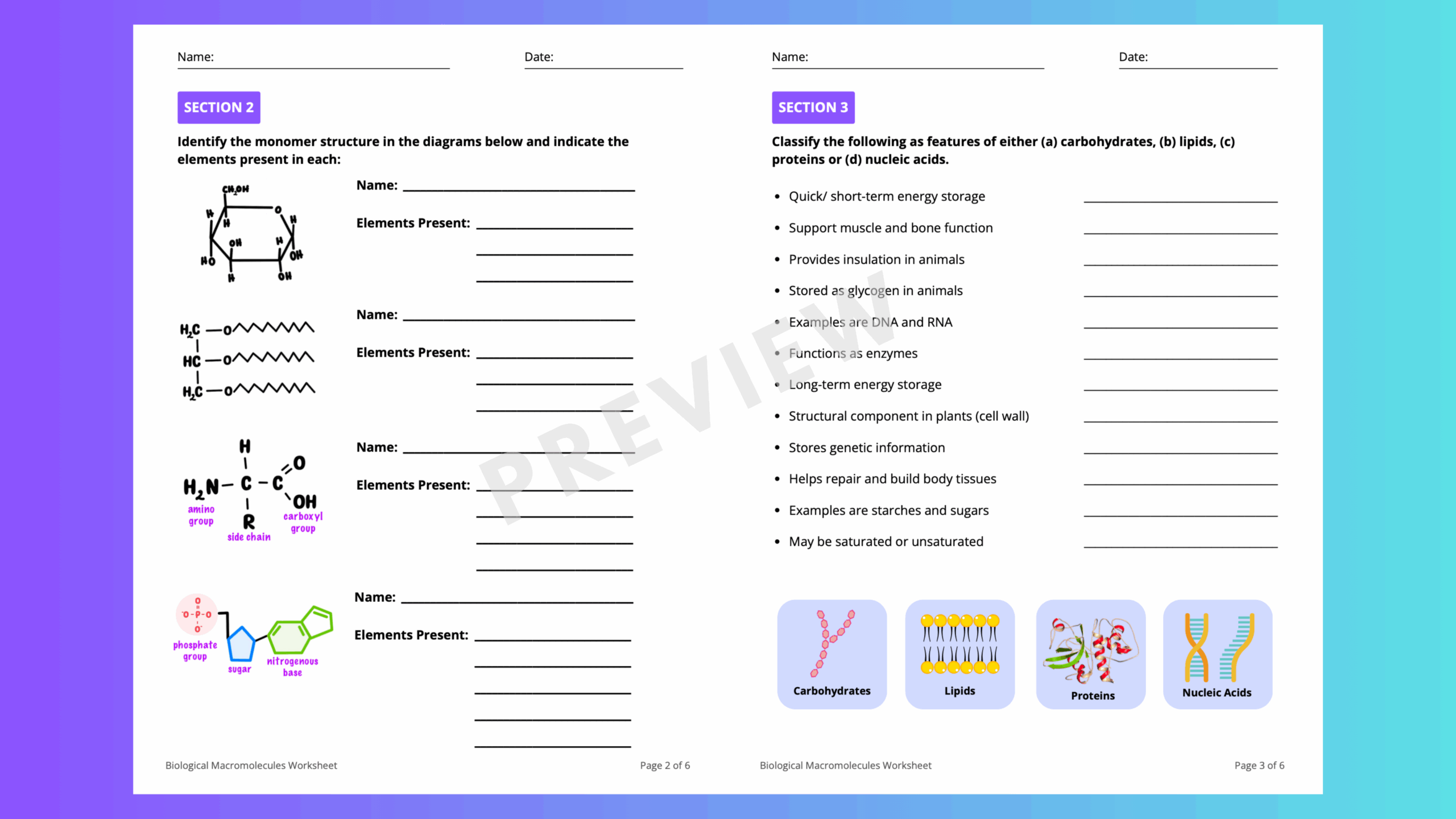 Biological Macromolecules Worksheet Summary Sheet For High School Biology Chemistry Teaching Resources