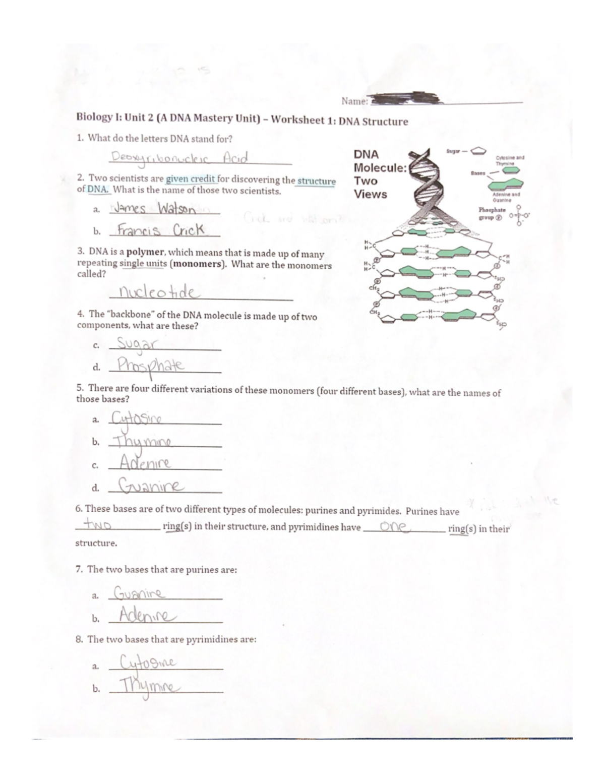 Biology I Unit 2 A DNA Mastery Unit Worksheet 1 DNA Structure What Do The Letters DNA Stand Studocu