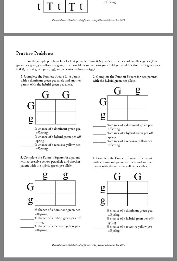 Biology Worksheet Punnett Squares Practice